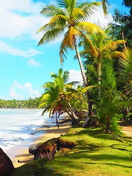 Hotel Restaurant Casa Grande Las Terrenas Bed & Breakfast
